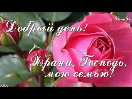 Счастливого воскресенья картинки красивые