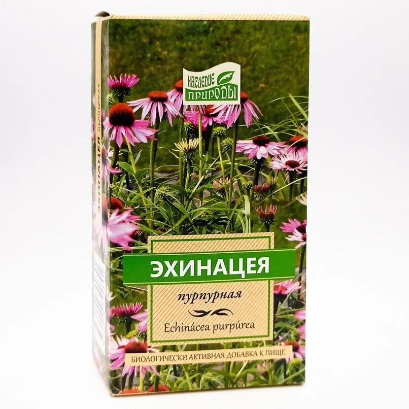 Эхинацея на белом фоне. Эхинацея центр. Эхинацея голубая. Ресепшн медицинского центра. Эхинацея центр.