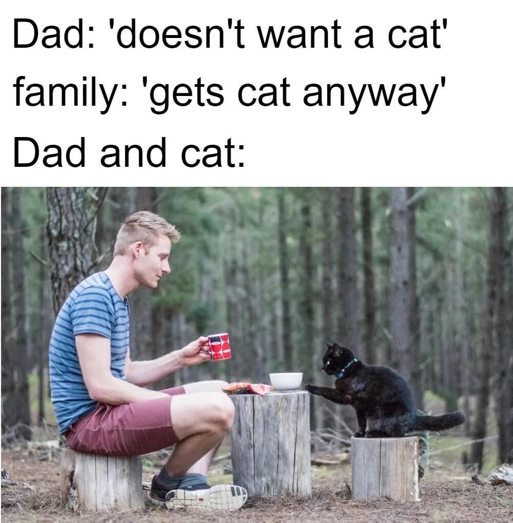 Doesn t apply. Dad Cat. Mother doesn't want a Dog картинка. Native dad meme. Daddy doesn't know.