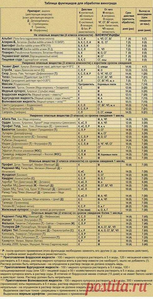 Таблица инсектицидов+фунгицидов для виноградника. Фунгициды для винограда таблица. Эффективность фунгицидов таблица. Таблица фунгицидов для обработки винограда.