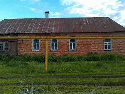 Беломестная двойня