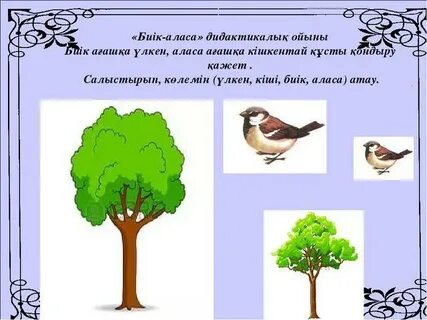 Үнді әйелдері есекке қалай сиғады