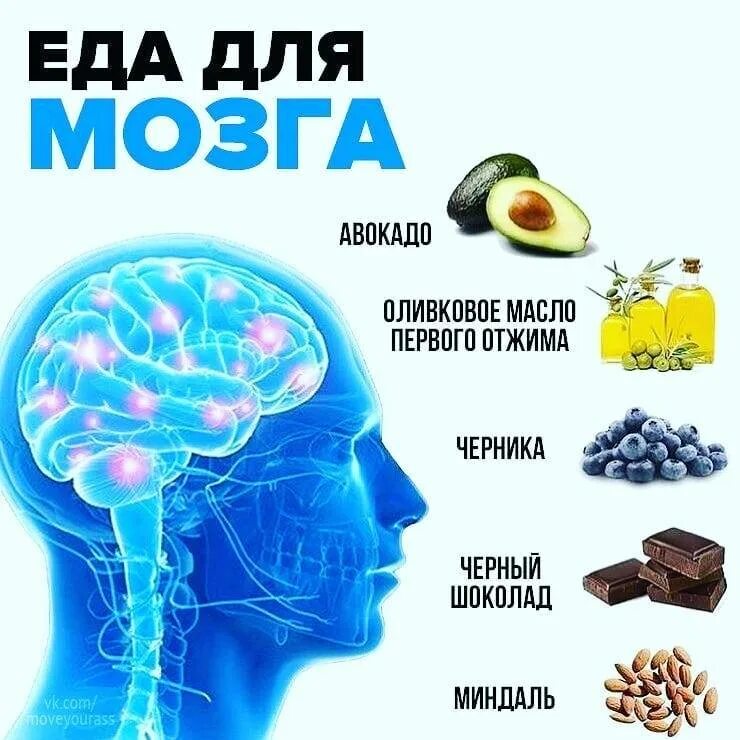 Мозг и память после 40. Пища для мозга. Продукты питания для мозга. Полезная пища для мозга. Самые полезные продукты для мозга.