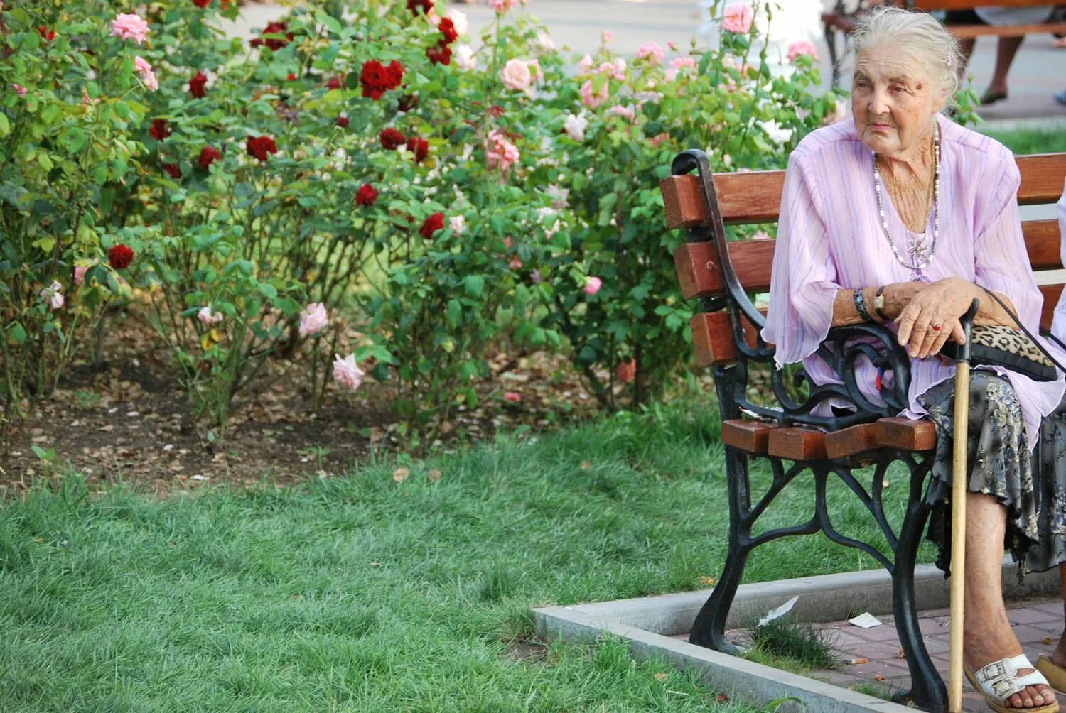 Деревня пенсионеров. Бабушки на лавочке. Бабушки на скамейке. Старушка на скамейке. Старая женщина на скамейке.