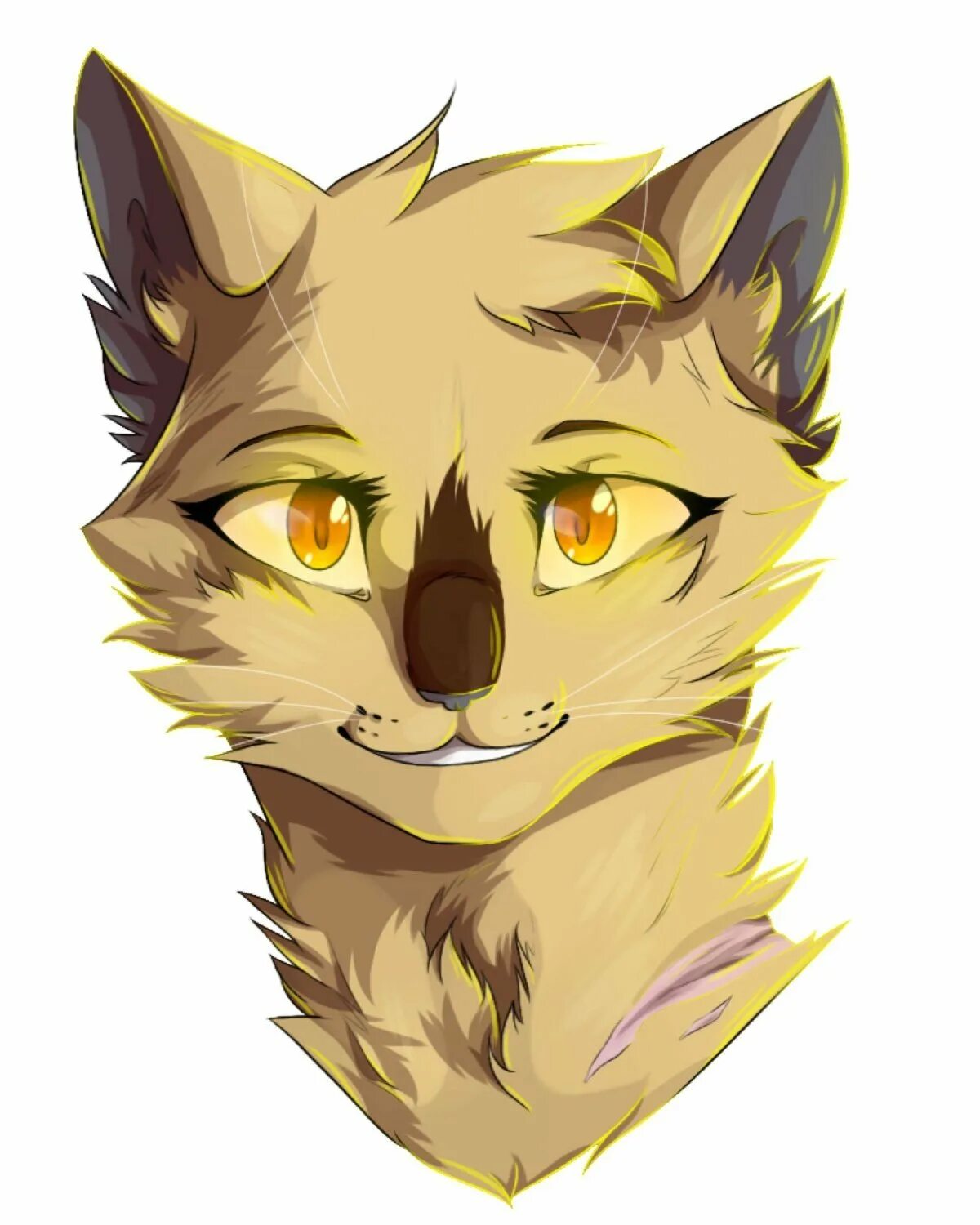 Коты воители варриорс. Коты воители бесплатные. Лунный камень коты воители. Коты воители мотылек. Коты воители арт.