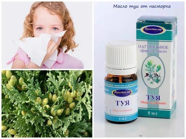 Можно детям туя. Масло туи капли в нос для детей. масло туи 801 при аденоидах. туя масло от насморка. масло туи в нос детям.