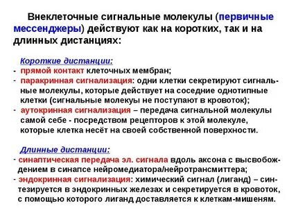 Химический сигнал