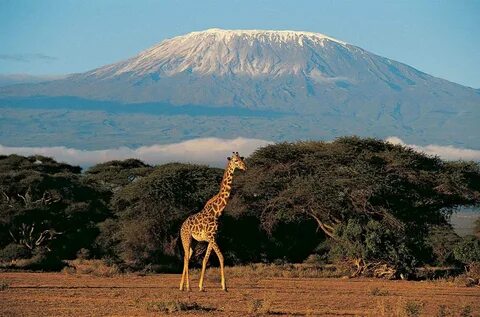 Вулкан килиманджаро - высочайшая гора африки: фото, описание.