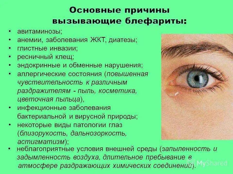 3 веко программы