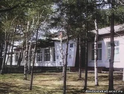 Дмитриевка черниговский приморский край