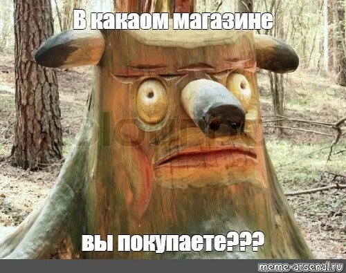 Арника Дизайнеры, Услуги ландшафтных дизайнеров, Ремонт и строительство, Санкт