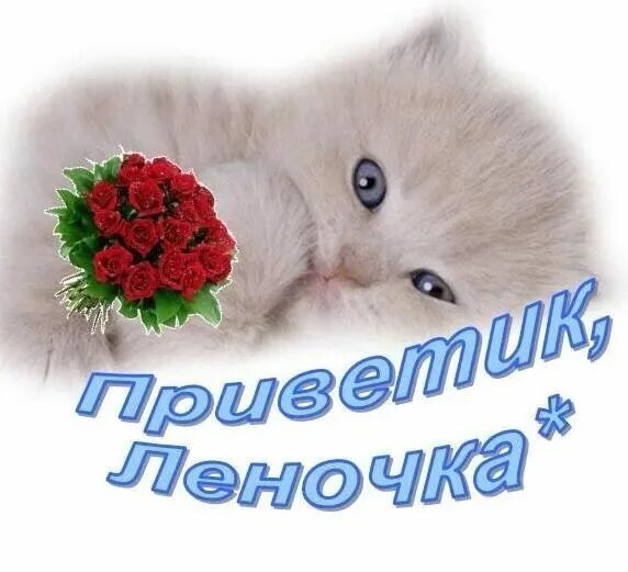 Красивый букет для леночки. Хорошего дня лена. Открытки с добрым утром леночка красивые. С добрым утром еленочка. Доброго дня лене.