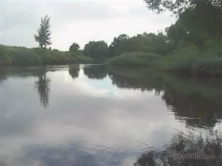 Балашейский пруд сызранский район. Пруд пятилетка. Царицыно нижний пруд. Пруд пятилетка. Орехово-борисово пруд благоустройство.