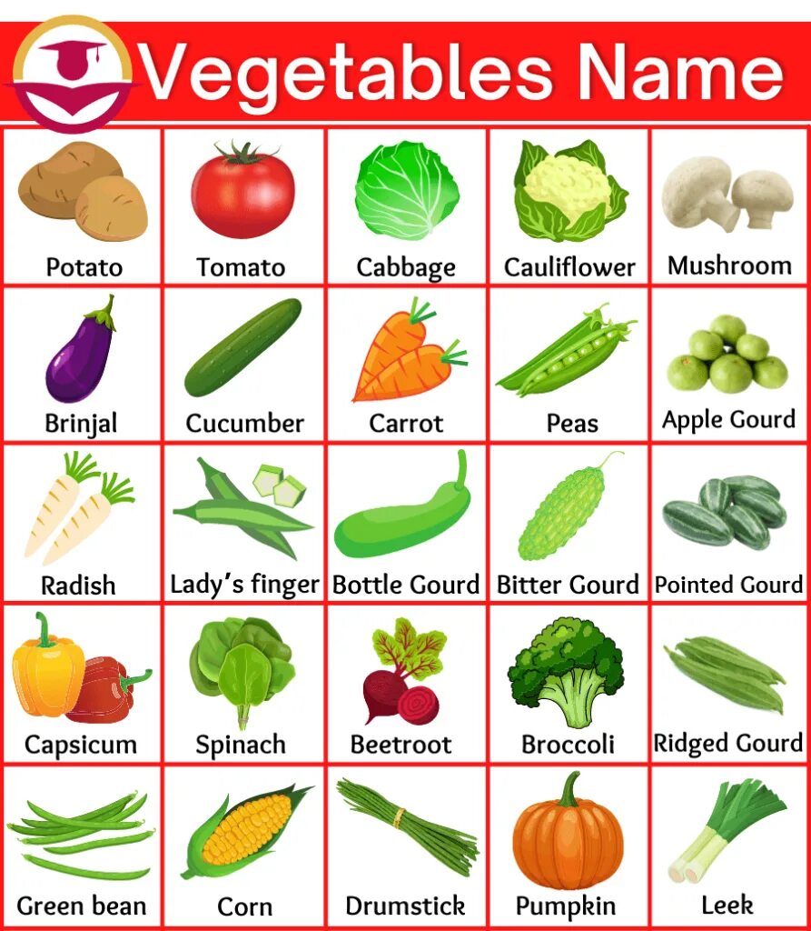 Vegetables list. Овощи на английском. Названия овощей на английском. Различные овощи на английском. Овощи рна англ.