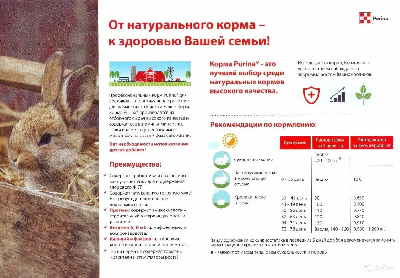 Сколько кормить кролика. Комбикорм для кроликов Purina. Комбикорм для кроликов Пурина состав. Состав комбикорма для кроликов таблица. Норма кормления кроликов комбикормом.