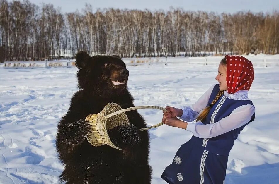 Осторожно с блинами медведь. Медведь на Масленицу. Девочка и медведь. Фотосессия с медведем. Медвежонок с Масленицей.