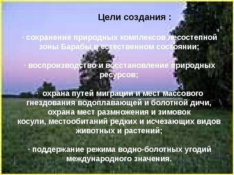 Сохранение природных комплексов. Цель природного заповедника. Заказник Майское утро Новосибирской области. Заказник Майское утро презентация. Для сохранения и восстановления природных