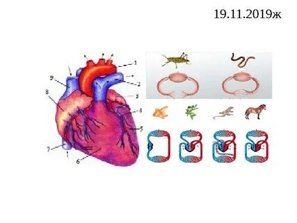 Гей жігіттерге арналған порно