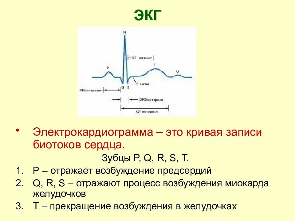 ЭКГ метод исследования функции сердца. Зубцы ЭКГ расшифровка физиология. Структура нормальной ЭКГ. Зубцы ЭКГ нормальная физиология.