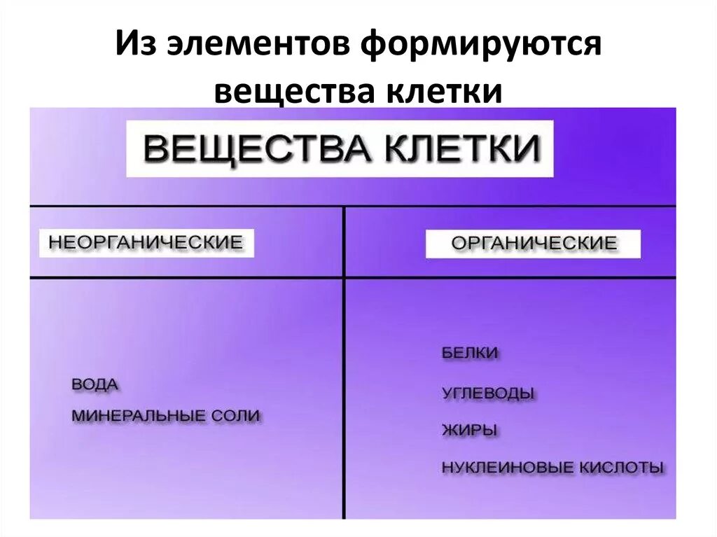 Кроме воды к неорганическим веществам относятся. К неорганическим веществам клетки относятся. Органические и неорганические вещества клетки. Неорганические вещества клетки являются. К нпограническим веществам клетки относят.