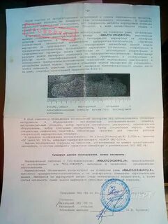 Экспертиза автомобиля заключение