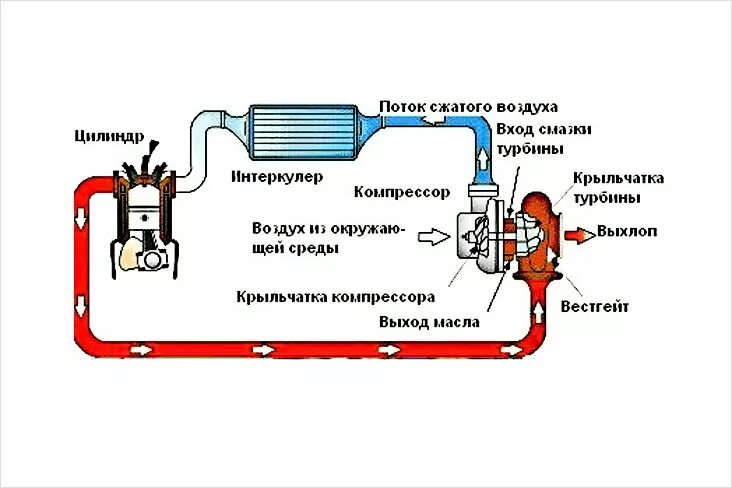 Схема работы турбонаддува дизельного двигателя. Принцип работы дизельного двигателя с турбиной схема. Турбина схема и принцип работы. Схема подачи воздуха в двигатель с турбиной дизель. Почему масло в интеркулере