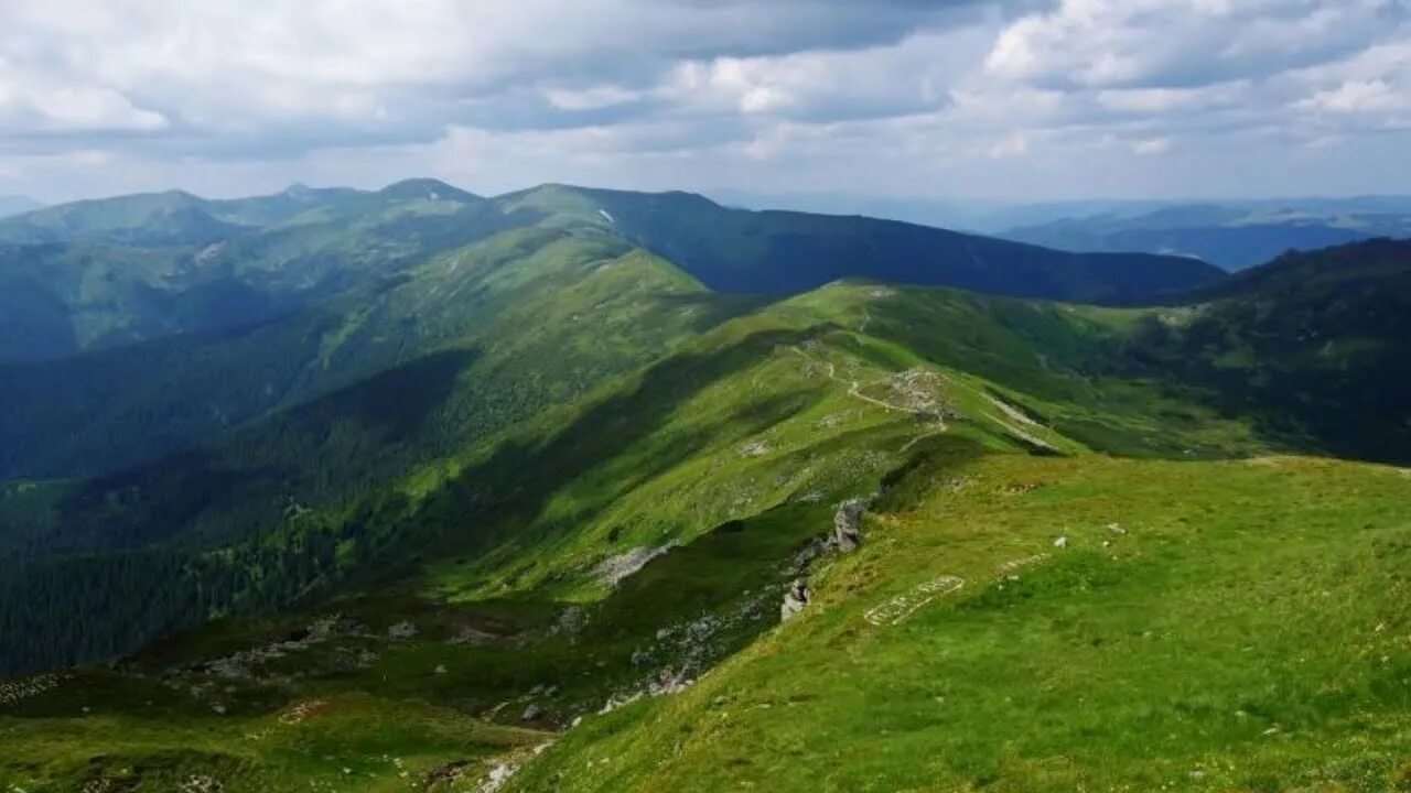 Ukrainian Carpathians. Чорногірський хребет. Говерла Карпаты Межгорье. Растительный мир Словакии.