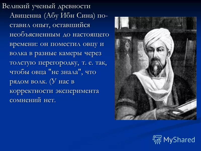 Авиценна на толстого ростов. Ибн сина - Великий ученый. 3. Ибн сина (Авиценна). Авиценна Великий ученый арабского халифата.