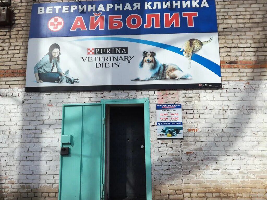 ветклиника барнаул адреса. ветеринарная клиника барнаул на юрина. барнаул вет клиника альфа вет. ветклиника барнаул адреса. беляева 15 барнаул ветклиника.