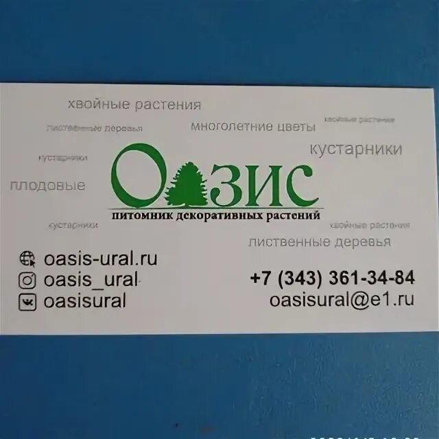 московский оазис питомник