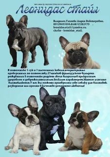 Содержание француз