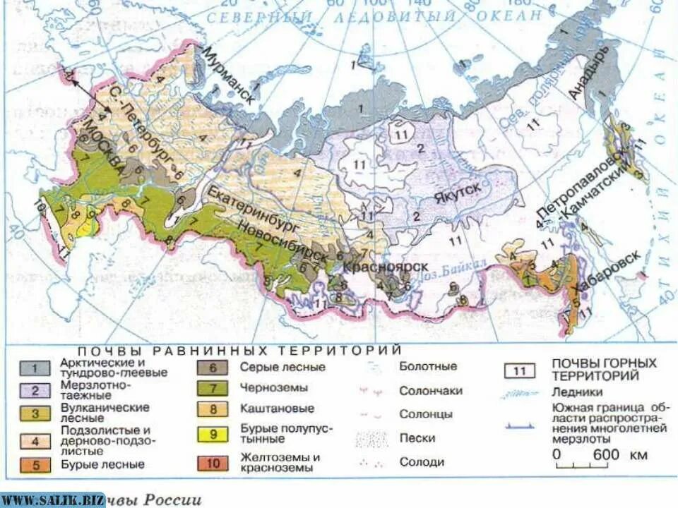 Карта распространения почв России. Карта почвы России 8 класс география. Типы почв РФ карта. Виды почв на карте России. Природные зоны по степени плодородия