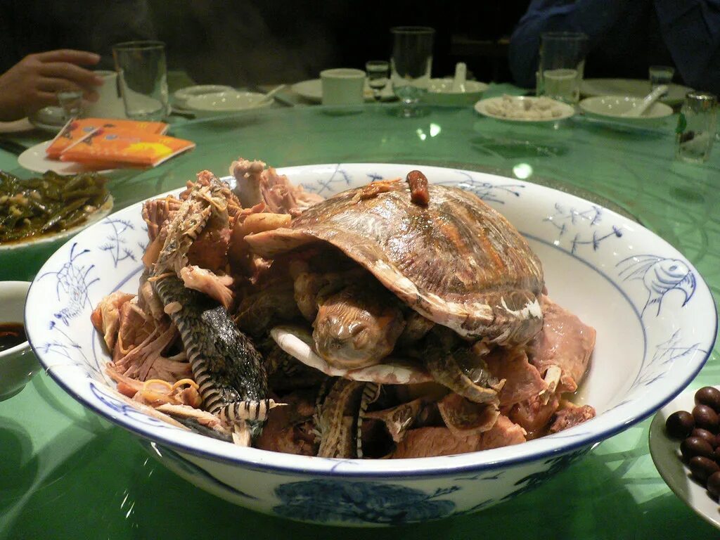 Странный обед. Черепаховый суп китайская кухня. Блюда из черепахи. Экзотическая кухня. Китайская кухня экзотические блюда.