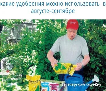 Подкормка летом