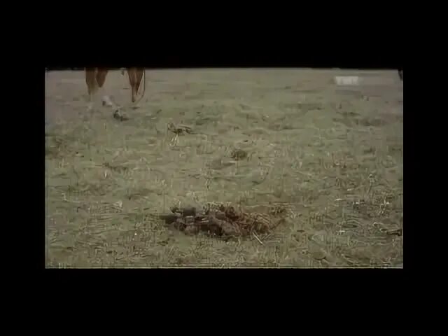 Хб арктика ошибок не прощает