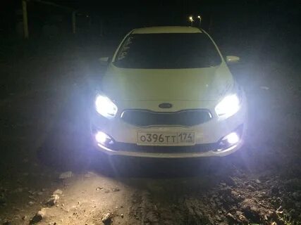 Сид свет