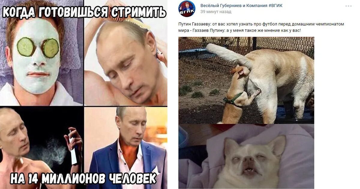 Чат с путиным. Прямая линия с путиным прикол. прямая линия с путиным фото прикол.