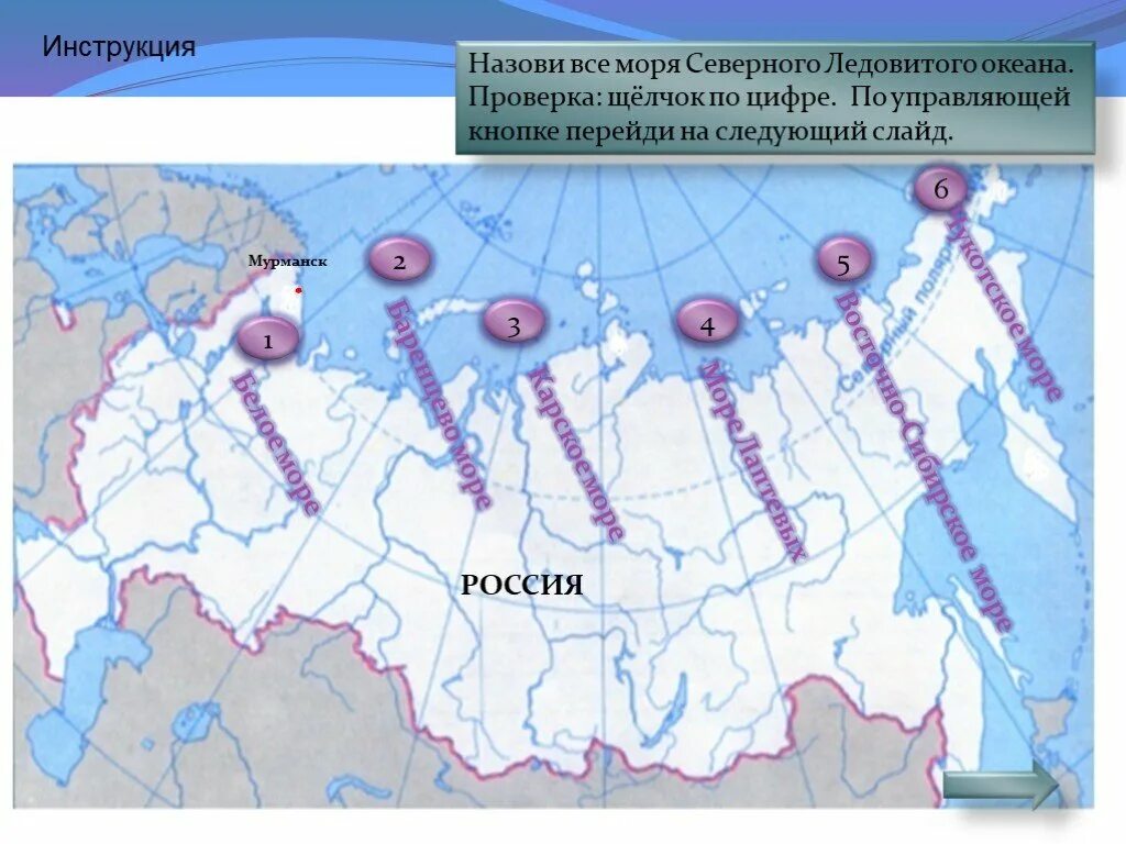 Какой океан омывает берега россии на севере