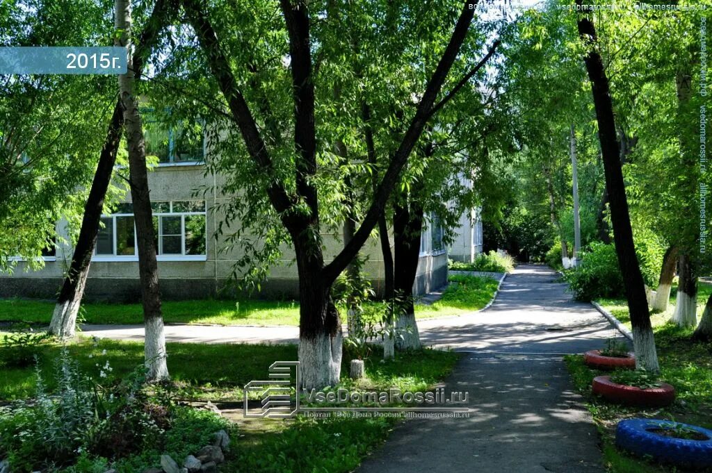 детсад 49 фрунзенского района. детский сад 49 отзывы. детский сад 49 отзывы. 110 сад фрунзенского района. детский сад золотой петушок монгохто.