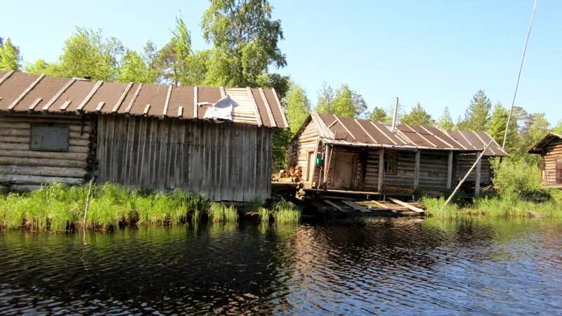 Озеро Воже Вологодская. Липовка озеро Воже. Оз Воже Липовка. Остров Спасский озеро Воже.