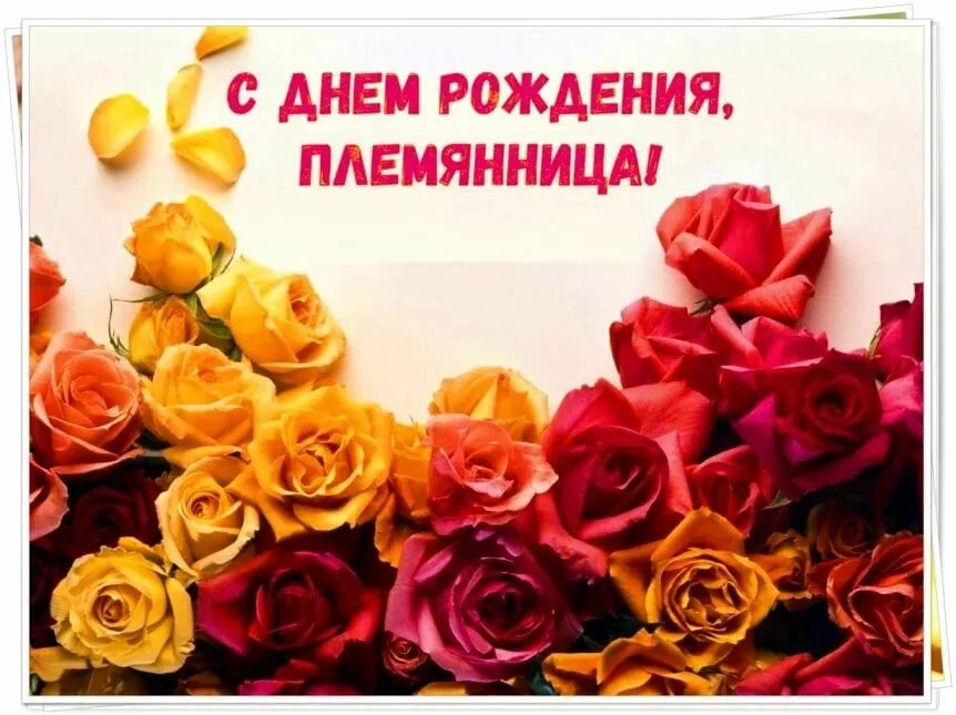 Поз племяннице. С дне рождения племянница. Поздравления с днём рождения племяннице. С днём рождения поимянице. С днём рождения племяннице.