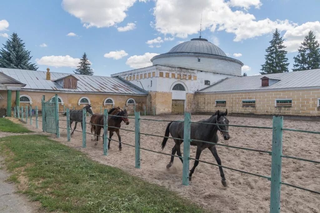 Конюшня воронеж. Хреновской конный завод Воронеж. Село Хреновое Воронежской области конезавод. Хреновской конный завод 19 век. Хреновской конный завод 18 век.