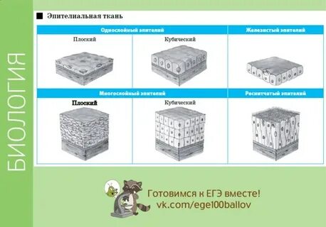 Какая ткань многослойная