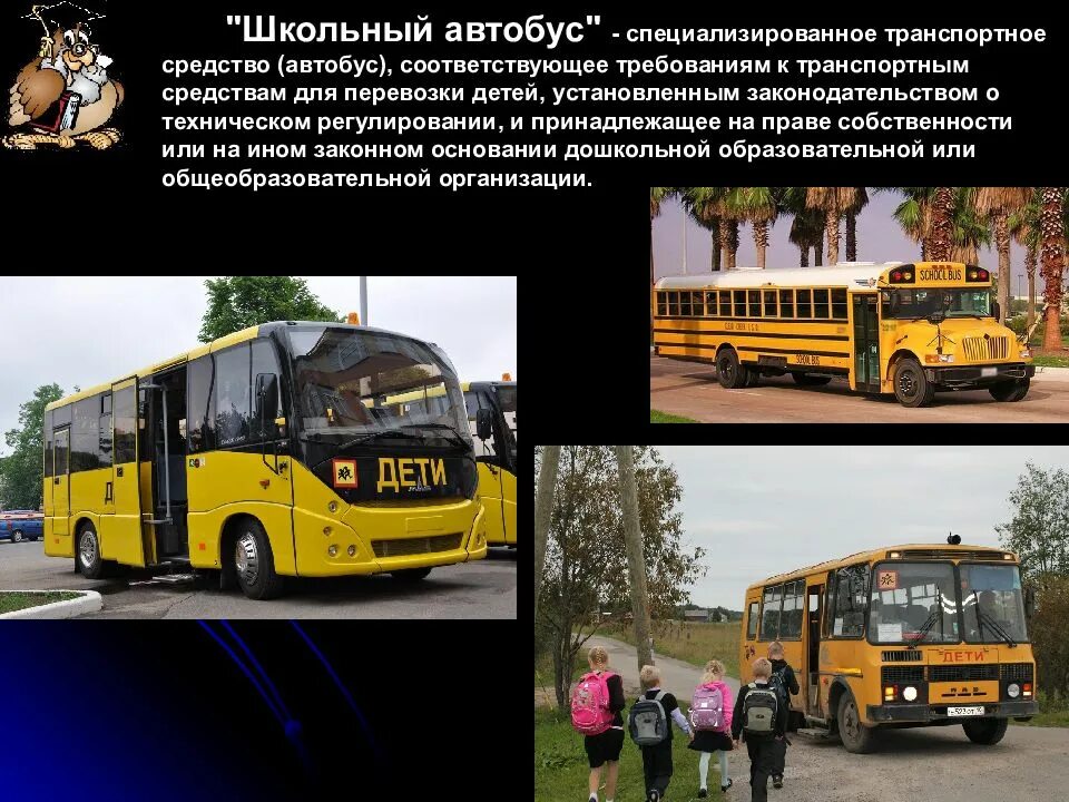 Специализированный автобус для перевозки детей. Специализированные автобусы. Специализированный школьный автобус. Специализированный автобус для перевозки детей чертеж. Категория ТС (автобус для перевозки детей).