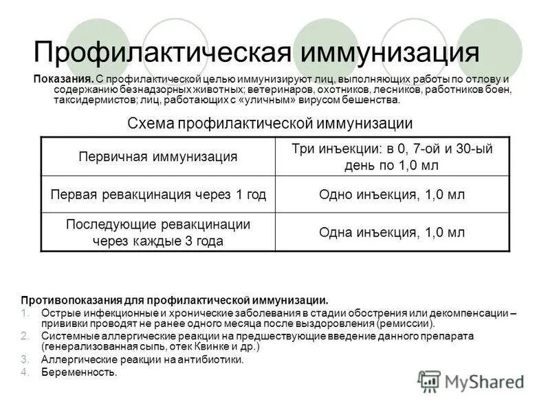 Сколько прививок от бешенства человеку. Схема вакцинации от бешенства профилактическая. Прививки против бешенства людям схема. Схема иммунизации против бешенства. Бешенство вакцинация людей схема.