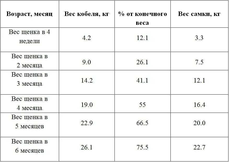 Таблица веса щенка немецкой овчарки. Сколько должна весить немецкая овчарка в 2 месяца. Сколько должен весить 2 месячный щенок немецкой овчарки. Вес немецкой овчарки по месяцам таблица кобель. Сколько весит овчарка в год