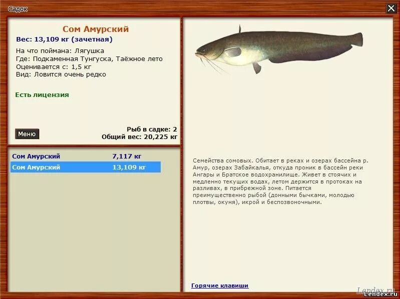 Самые дорогие рыбы в реальной рыбалке. Амурский сом реальная рыбалка. Сом солдатова реальная рыбалка. Амурский сом реальная рыбалка. Русская рыбалка 3 7 6 майгунна щука.