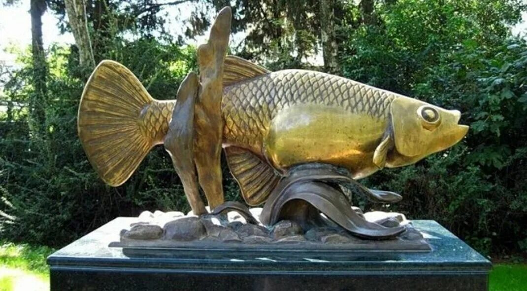 Гамбузия рыбка. Памятник рыбке гамбузии в Сочи. Гамбузия рыбка памятник в Адлере. Памятники Сочи рыба гамбузия. Рыбка гамбузия в Сочи.