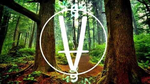 Deep forest