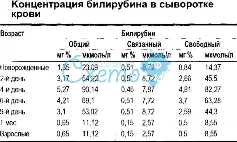 Билирубин при желтухе у новорожденных. Билирубин общий норма у детей. Показатели прямого билирубина в крови у детей. Билирубин у новорожденного норма. Билирубин общий норма у детей 3 года.